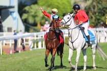 【香港競馬】強すぎる！カーインライジングが15連勝…ジョッキークラブスプリント圧勝