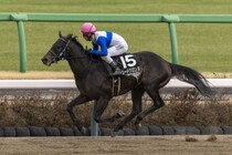 【浦和記念】ロードクロンヌは8枠11番