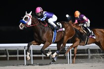 【地方競馬】LJSザ・ファイナルは小笠原羚騎手が頂点、シリーズは今回で終了