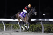 【浦和記念】岩田康誠の神業イン突き！ホウオウルーレット、鮮やか重賞2勝目