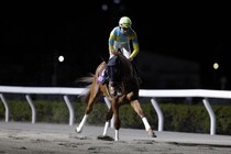 【浦和記念】団野「思った以上に頑張ってくれた」デルマソトガケは3着