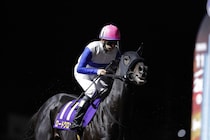 【浦和記念】横山和「相手が上手く抜けてきました」ロードクロンヌは2着