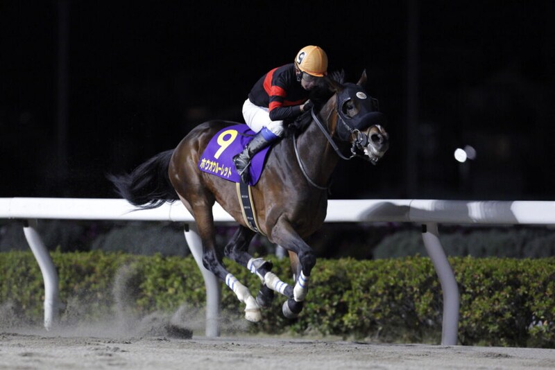 【浦和記念】岩田康誠「久しぶりの浦和競馬楽しみました」レース後ジョッキーコメント