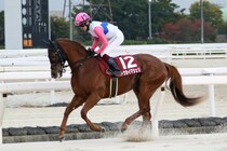 【兵庫ジュニアグランプリ】トウカイマシェリが鮮やか差し切り…鮫島駿「1400mでも大丈夫でした」