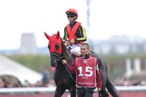 【ジャパンカップ】仏帰りのクロワデュノールは514kg…出走馬の調教後の馬体重