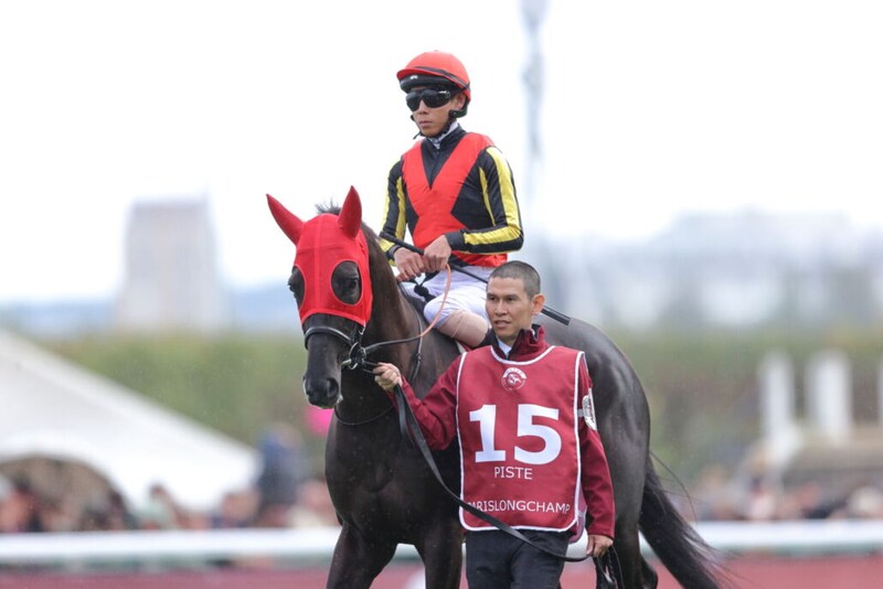 【ジャパンカップ】仏帰りのクロワデュノールは514kg…出走馬の調教後の馬体重