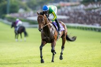 【香港国際競走】サトノレーヴら日本馬8頭が参戦予定…選出馬発表