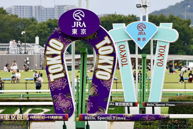 ジェンティルドンナの追悼行事を発表…追悼競走などを編成