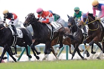 【新馬/京都5R】プーシャン騎乗 レッドリガーレがハナ差凌ぐ