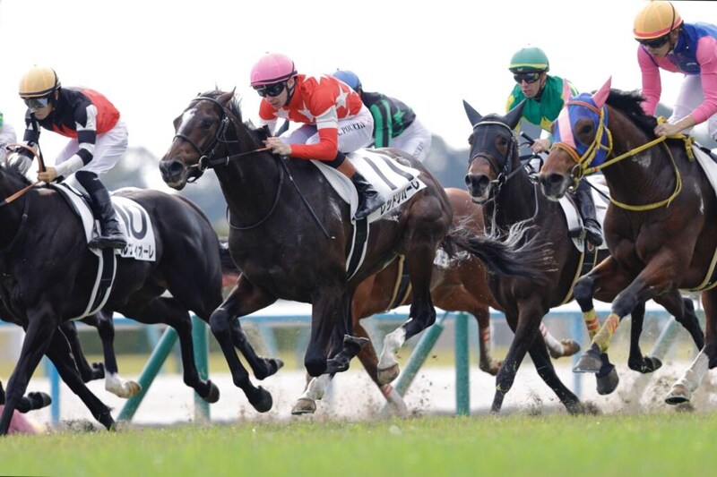 【新馬/京都5R】プーシャン騎乗 レッドリガーレがハナ差凌ぐ