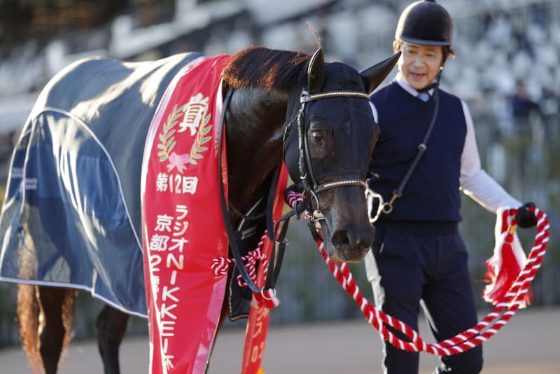 【京都2歳S】北村友「イメージしていた競馬とは少し違った」ジャスティンビスタがデビュー2連勝
