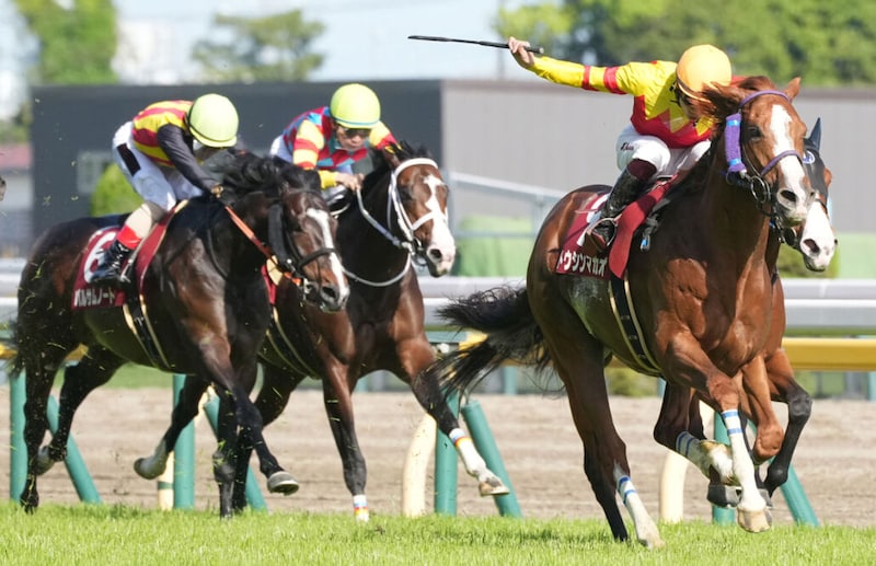 トウシンマカオが登録抹消…種牡馬入り