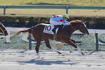 【新馬/東京5R】マーカンド騎乗 エジプシャンマウがデビューV