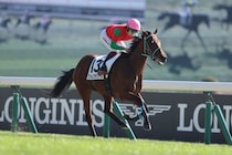 【東京4R】ファムクラジューズが３馬身半差完勝…断然人気アイムインは2着