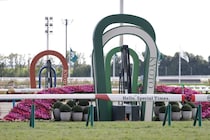 【京阪杯】伏兵エーティーマクフィが波乱を演出…ジャスパークローネは競走中止