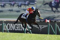 【新馬/東京6R】キタサンブラック産駒 ゴーラッキーがデビューV