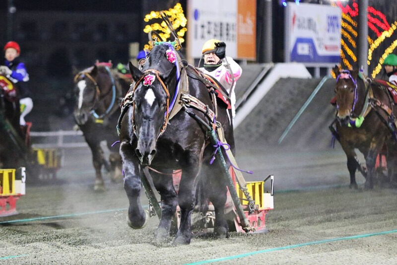 【ばんえいオークス】ホクセイヒラリがパワフルクィーンとの一騎打ちを制す