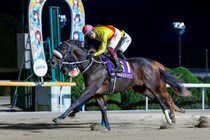 【佐賀・フォーマルハウト賞】佐賀から“怪物候補”誕生…サキドリトッケンが圧巻V