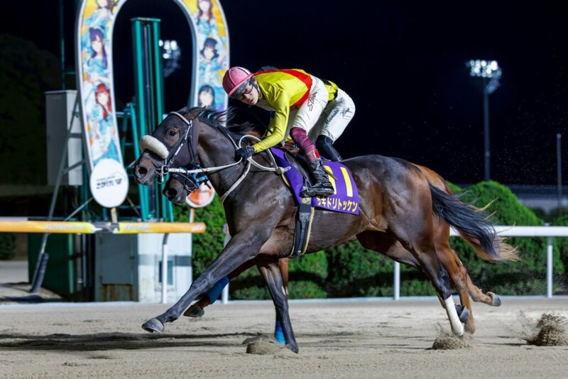 【佐賀・フォーマルハウト賞】佐賀から“怪物候補”誕生…サキドリトッケンが圧巻V