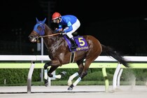 【チャンピオンズカップ登録馬】4連勝中ナルカミなど24頭がエントリー