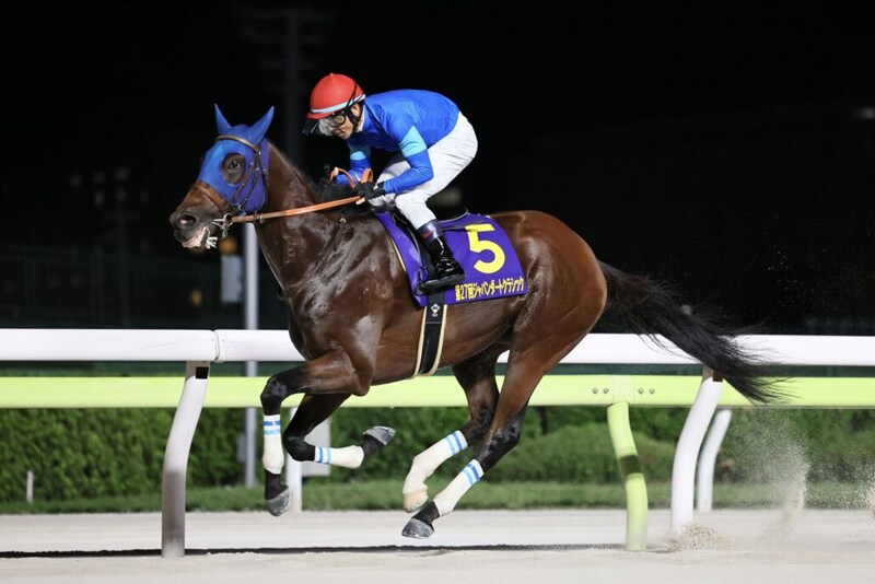 【チャンピオンズカップ登録馬】4連勝中ナルカミなど24頭がエントリー