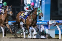 【地方競馬】ライトウォーリアが引退