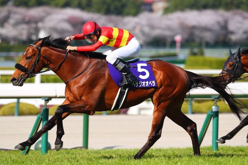 【香港国際競走】べラジオオペラなど日本馬3頭が香港入り…シャティンで順調な初日調整へ