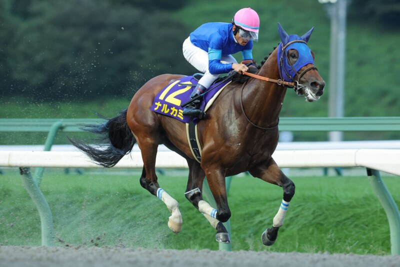 【チャンピオンズカップ】4連勝中ナルカミは517kg…出走馬の調教後の馬体重