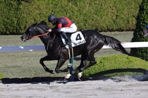 【阪神2R】ヴォーカライズが人気に応えて逃げ切る