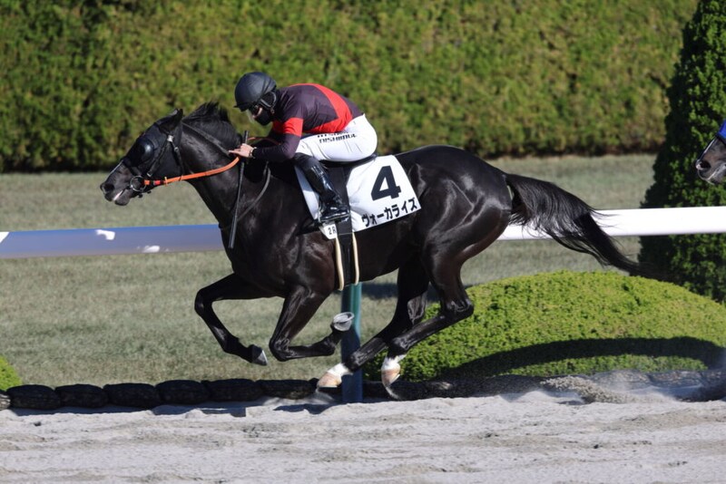 【阪神2R】ヴォーカライズが人気に応えて逃げ切る