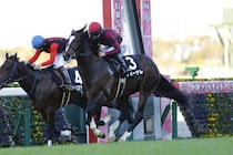 【さざんか賞】アルアイン産駒フォーゲルが2連勝