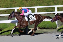 【阪神8R】武豊メイショウツヨキが波乱を演出…10番人気の伏兵