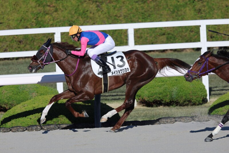 【阪神8R】武豊メイショウツヨキが波乱を演出…10番人気の伏兵