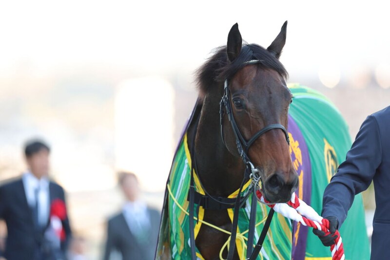 WIN5は1893票的中…鳴尾記念はデビットバローズがV