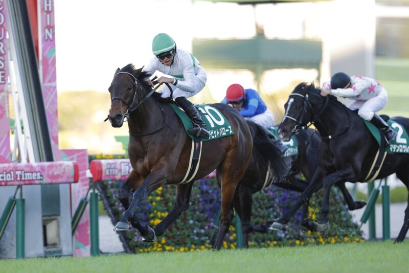 【鳴尾記念】6歳セン馬・デビットバローズが重賞初制覇