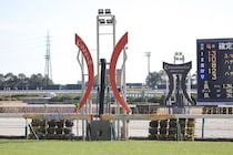 【チャンピオンズカップ】牝馬ダブルハートボンドがG1初制覇！…坂井瑠星騎手は3連覇を達成