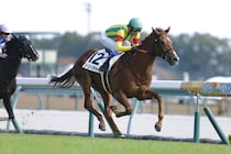 【新馬/中京5R】武豊ゴーゴーリチャードがデビューV