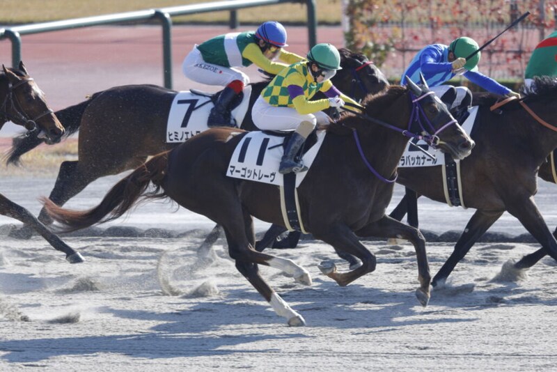 古川奈穂が土日で2勝と活躍…女性ジョッキー結果
