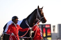 WIN5は2653票的中…チャンピオンズCはダブルハートボンドがV