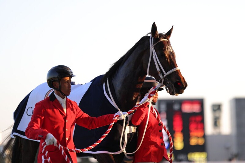 WIN5は2653票的中…チャンピオンズCはダブルハートボンドがV