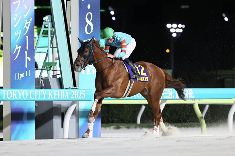 【カペラS登録馬】ヤマニンチェルキなど21頭