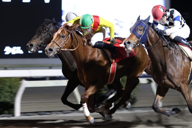 【高知・長浜特別】大混戦の直線叩き合いを制す！ サノノエスポが準重賞勝利