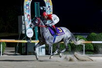 【佐賀・九州産グランプリ】“体の芯がしっかり”と成長示す…ベルウッドウズメが3馬身差完勝