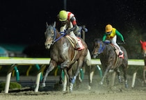 【岩手競馬】佐々木志音騎手が総合40点で栄冠…ゴールデンジョッキーズシリーズを制す