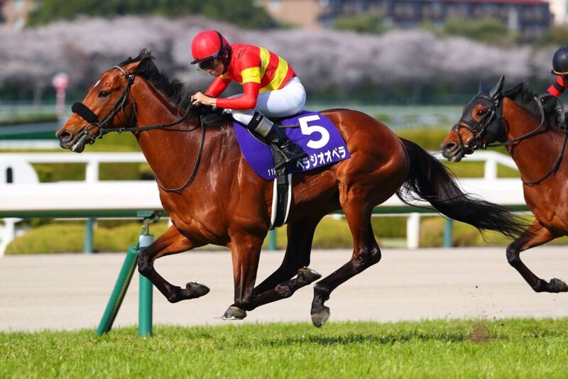 【香港国際競走】JRA勢、最終調整完了…充実の動きで本番へ万全の構え