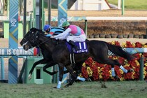 二刀流ドゥラエレーデが引退…種牡馬入りの予定
