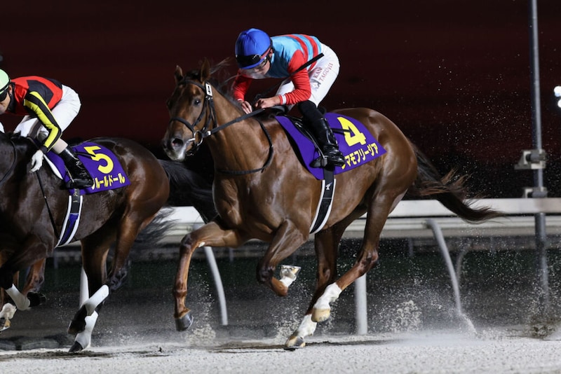 【全日本2歳優駿】2歳ダート王決定戦、JRA勢5頭、地方勢9頭が集結