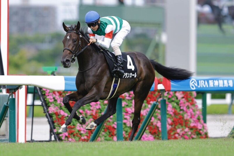 【阪神JF】良血アランカールは436kg…調教後の馬体重