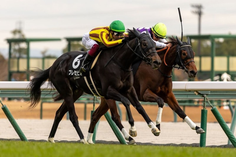 【つわぶき賞】伏兵プレセピオが抜け出す…白毛馬マルガは3着