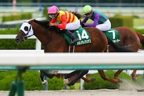 ハギノアレグリアスが引退…ダート重賞で長きにわたり活躍